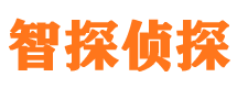 晋州市侦探调查公司